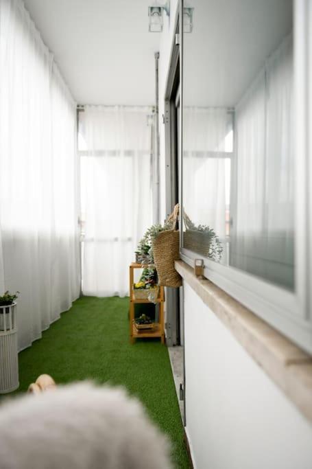 Apartmán Peaceful Hideaway Řím Exteriér fotografie